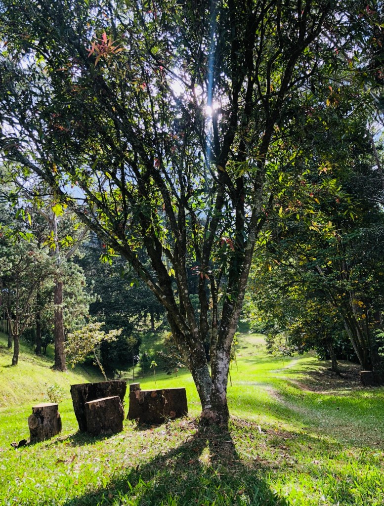 Valores empresariales
Valor de servicio Humano y al cliente
Respeto por todo lo existente en el planeta
Compromiso con la sociedad
Trabajo en Equipo
Responsabilidad Social