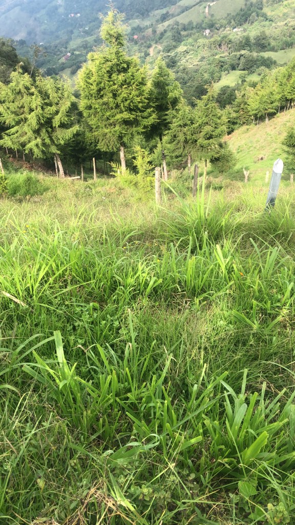 Se venden casas
bodegas
Terrenos
Casa fincas
Casa de verano
Casa de recreo
Finca de descanso 
Aparta estudio
Apartamento.